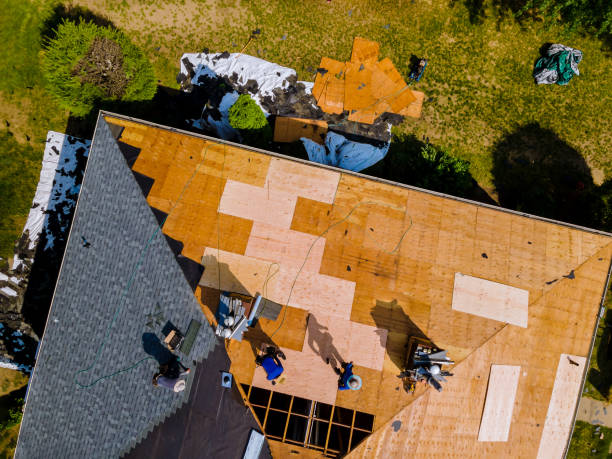Best Storm Damage Roof Repair  in Oswego, NY